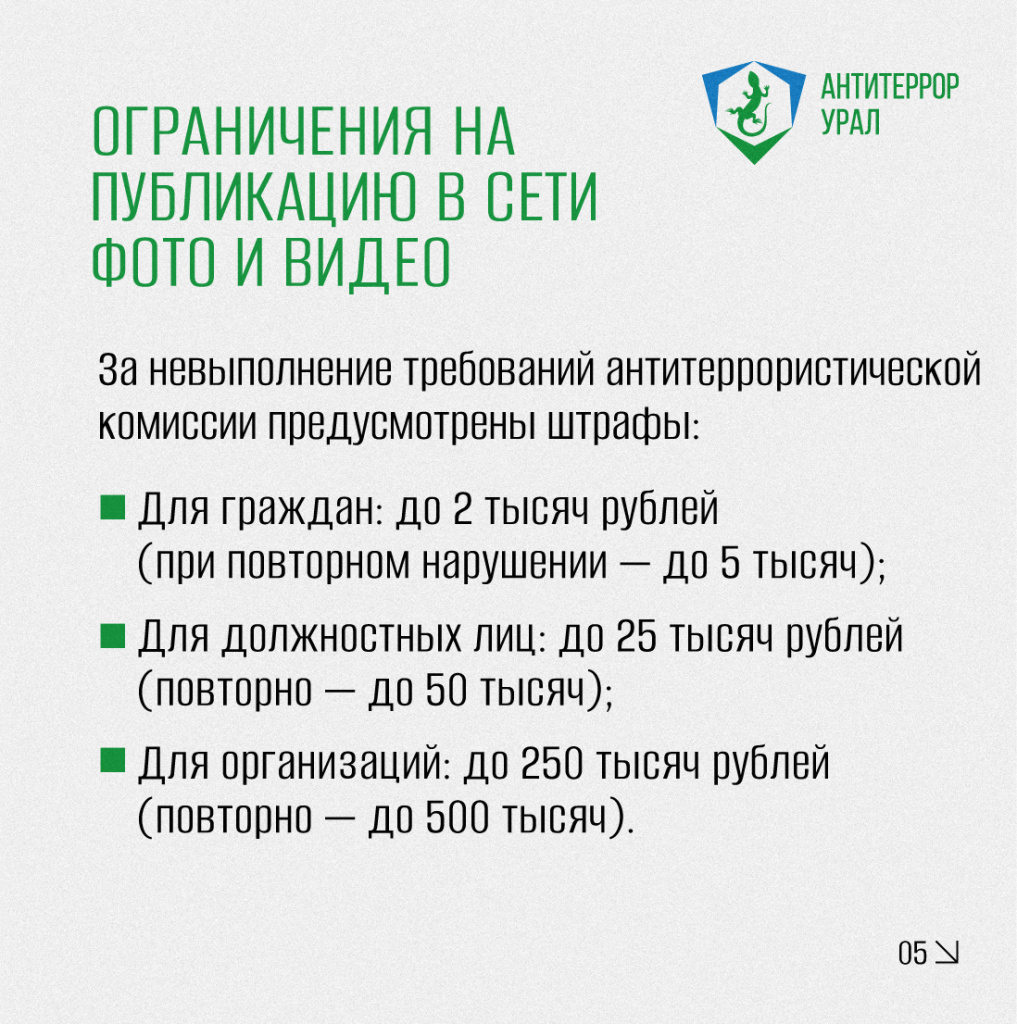 5.jpg 5.jpg
